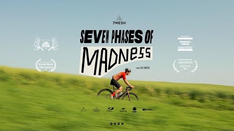 The Seven Phases of Madness